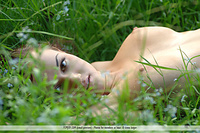  under the tree erotica beautiful pictures softcore russian teens